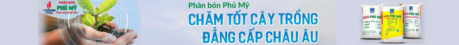 ktvn-tong-cong-ty-phan-bon-va-hoa-chat-dau-khi-dam-phu-my