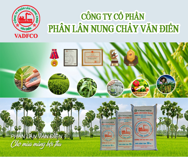 ktvn-cong-ty-co-phan-phan-lan-nung-chay-van-dien