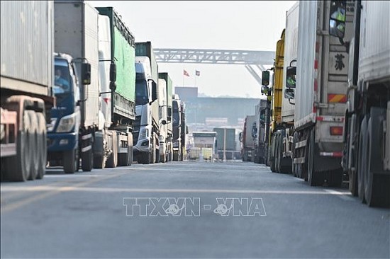 Gần 4.000 tấn hàng hóa xuất nhập khẩu qua cửa khẩu Quốc tế Móng Cái hai ngày đầu năm