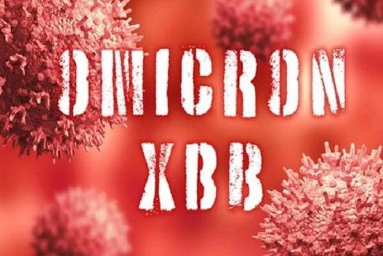Biến thể phụ XBB.1.5 đã xuất hiện ở gần 30 nước; Việt Nam tăng cường kiểm soát dịch bệnh