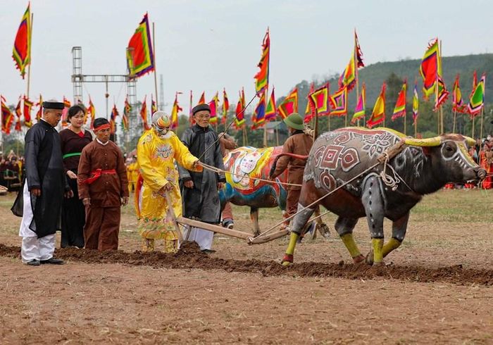 Tái hiện cảnh nhà Vua xuống đồng cày ruộng đầu năm mới tại lễ hội. (Ảnh: Thanh Tùng/TTXVN)