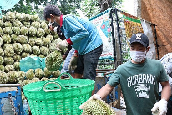 Nhiều doanh nghiệp tăng tốc xuất khẩu ngay ngày đầu năm