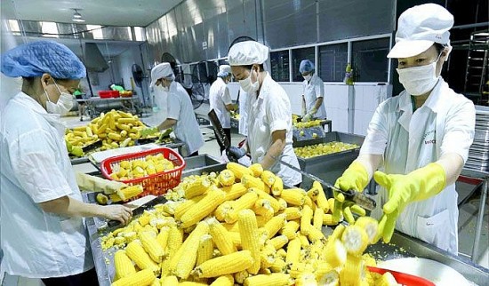 Xuất khẩu nông nghiệp: Khởi sắc từ thị trường lớn