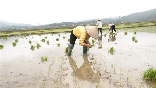 Tập đoàn EVN xả hơn 3,6 tỷ m3 nước cho sản xuất vụ Đông Xuân