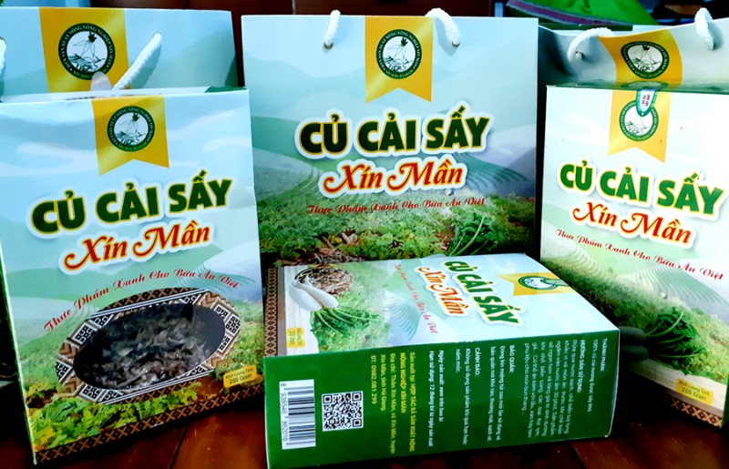 Mở đường xuất khẩu chính ngạch củ cải Xín Mần (Hà Giang)