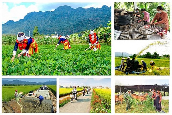 Nỗ lực, cố gắng hơn nữa để triển khai hiệu quả các Chương trình mục tiêu quốc gia
