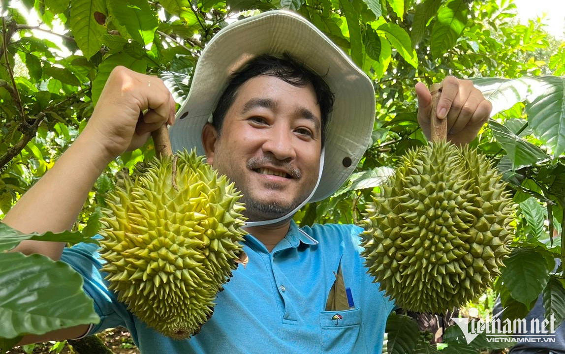 Xuất khẩu sầu riêng sang Trung Quốc: Động thái mới từ Thái Lan cạnh tranh với hàng Việt