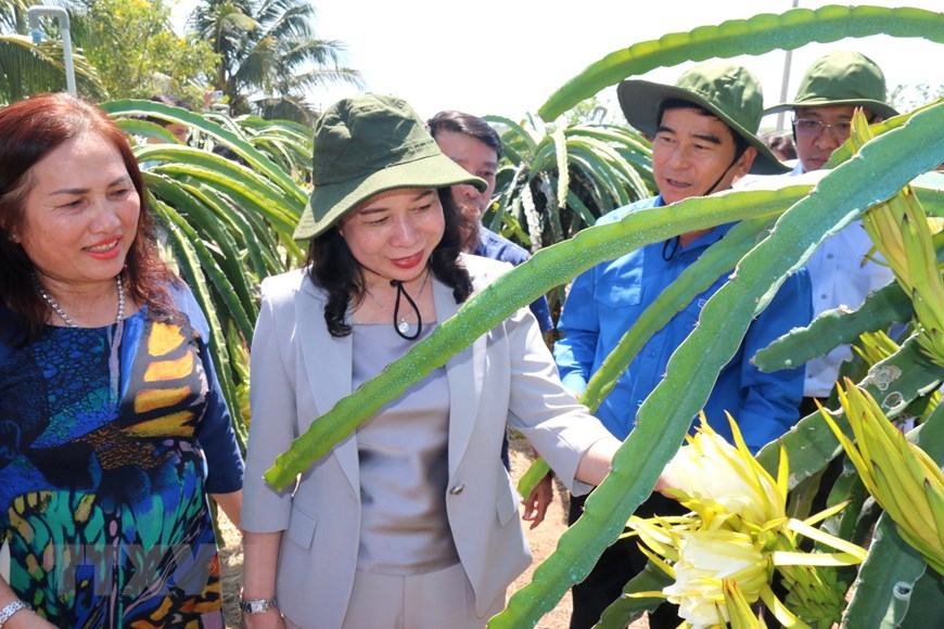 Photo: Quyền Chủ tịch nước dự Lễ khởi động Tháng Thanh niên 2023