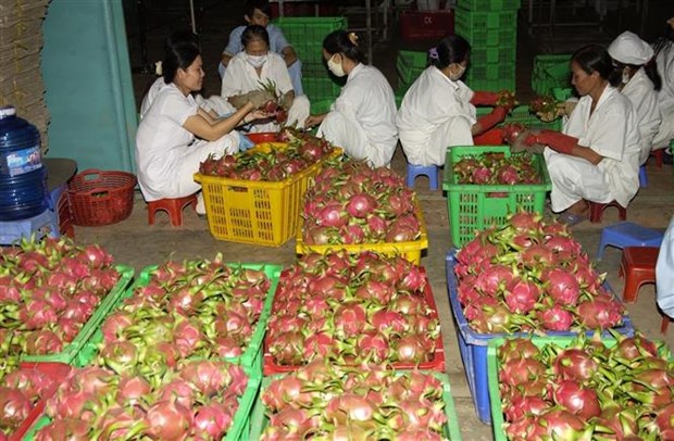 Việt Nam đề nghị Hoa Kỳ tạo thuận lợi cho xuất khẩu hoa quả tươi