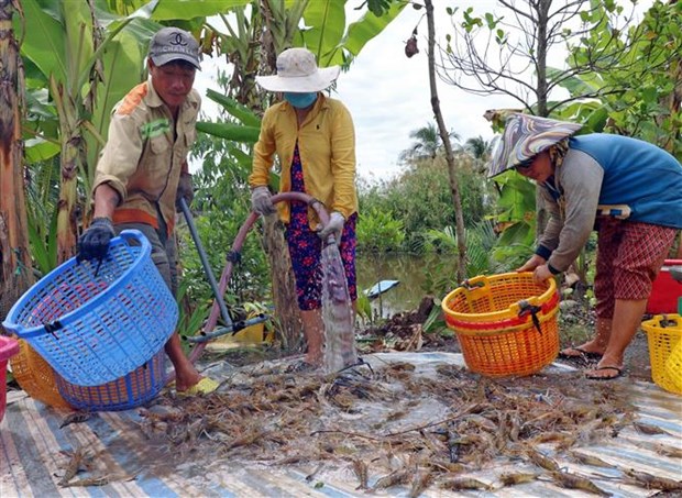 Tan dung loi the de xuat khau tom dat muc tieu nam 2023 hinh anh 2