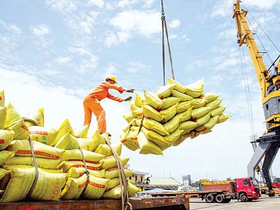 Xuất khẩu sang thị trường Indonesia: Doanh nghiệp cẩn trọng với biện pháp phòng vệ thương mại