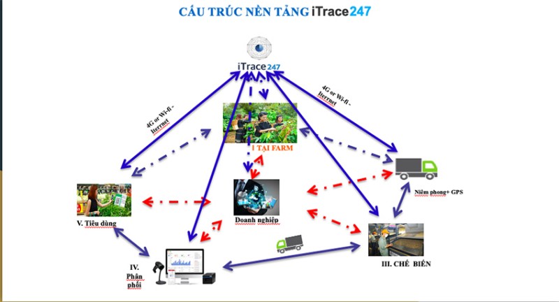 Tiếp tục nâng cấp Hệ thống truy xuất nguồn gốc xúc tiến thương mại