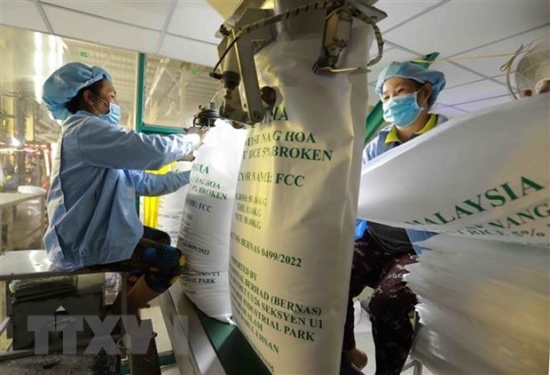 Nhu cầu tăng, xuất khẩu gạo Việt Nam kéo dài đà tăng trưởng