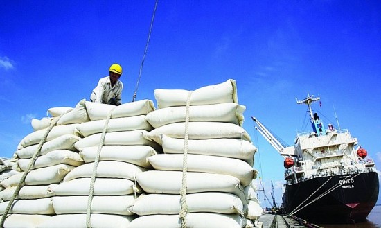 Châu Phi dự kiến nhập khoảng 17,7 triệu tấn gạo, cơ hội cho Việt Nam