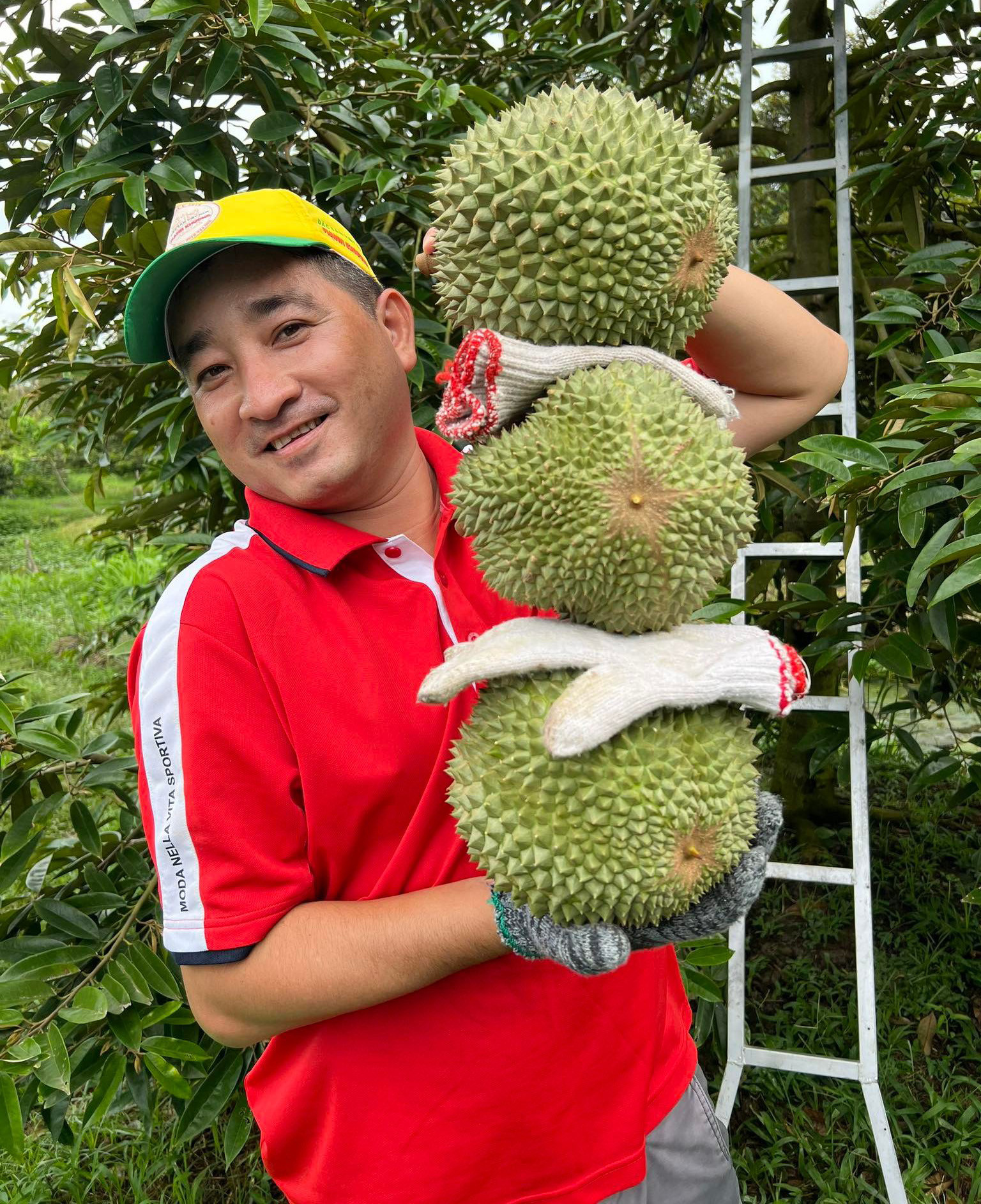 Không phải Musang King, đây mới là loại sầu riêng đắt nhất ở miền Tây