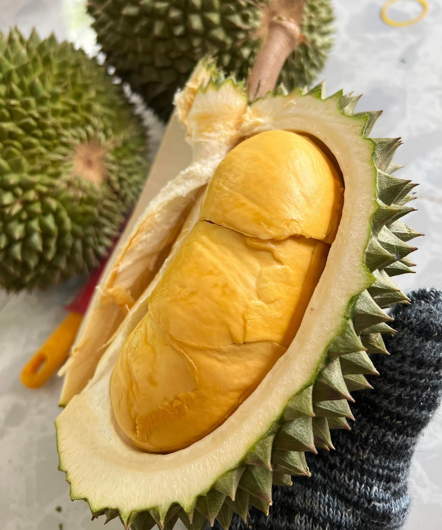 Không phải Musang King, đây mới là loại sầu riêng đắt nhất ở miền Tây