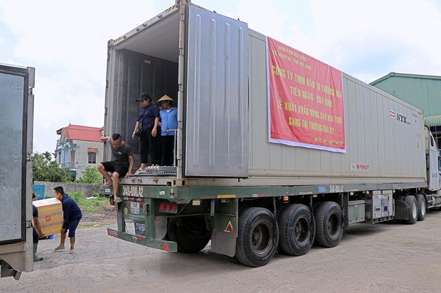 Hoa Binh xuat khau lo hang mia tuoi thu hai sang thi truong Hoa Ky hinh anh 2