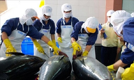 CPTPP tạo điều kiện thuận lợi xuất khẩu cá ngừ tăng mạnh