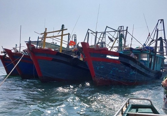 5 tháng, Quảng Ninh xử phạt hơn 230 vụ vi phạm về thủy sản