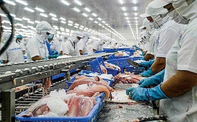 Sản lượng xuất khẩu cá tra 4 tháng đầu năm 2023 suy giảm so với cùng kỳ năm trước. Ảnh: VASEP