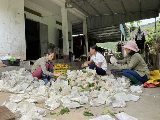 Tỉnh Quảng Ninh: Huyện Vân Đồn được công nhận đạt chuẩn nông thôn mới