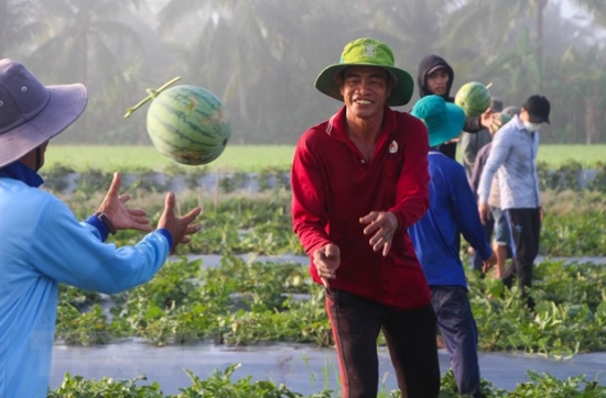 Logistics - Điểm mấu chốt quyết định giá trị của nông sản Việt