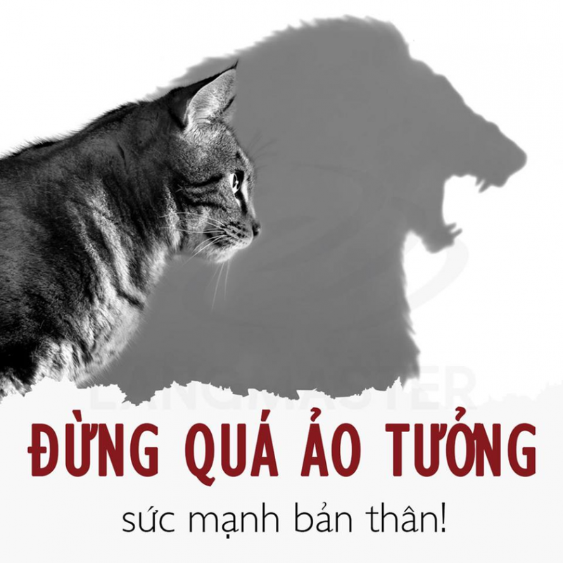 Ảo tưởng hào quang từ miệng lưỡi thiên hạ