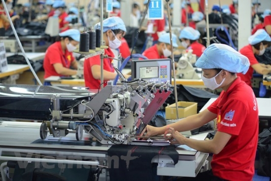 Tận dụng hiệp định EVFTA: Hàng hóa Việt Nam gia tăng thị phần vào EU