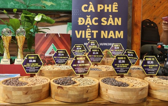 Gia Lai: Phát triển thương hiệu cà phê đặc sản