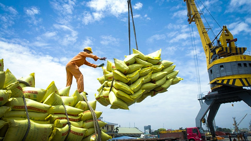 Giá gạo Việt xuất khẩu lập đỉnh mới, chuyên gia nói gì?