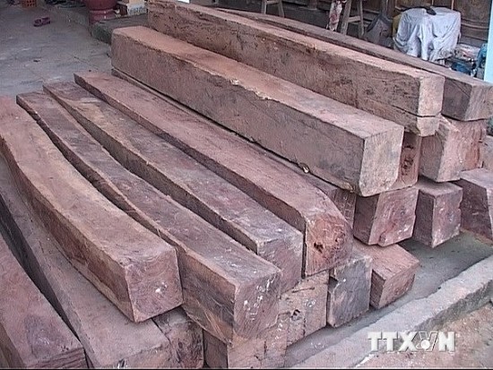 Từ kỳ án “Buôn lậu gỗ trắc” đến Luật theo dõi thi hành pháp luật