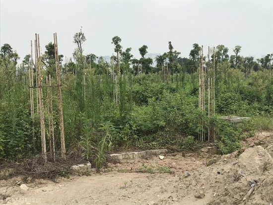 Hà Nội lập Tổ công tác đặc biệt gỡ khó cho doanh nghiệp, nhà đầu tư: Chuyên gia nhận định gì?
