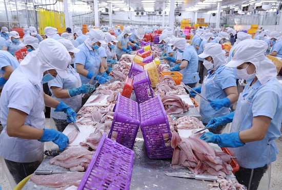 Cảnh báo lừa đảo thương mại với doanh nghiệp xuất khẩu