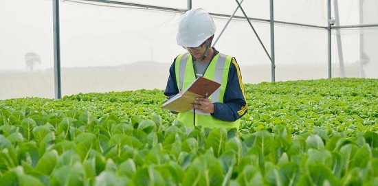 Doanh nghiệp nông nghiệp: Làm gì để không “lệch nhịp” với sản xuất nông nghiệp?