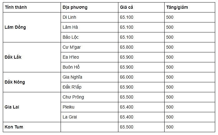 Giá cà phê trong nước ngày 12/9/2023