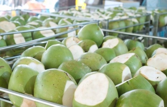 Thời cơ cho xuất khẩu trái dừa