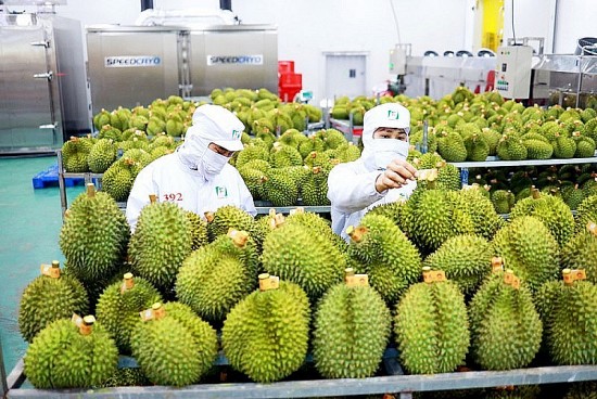 CAEXPO 2023: "Bộ tứ sự kiện quan trọng" và cơ hội mới khơi thông dòng chảy thương mại Việt Nam - Trung Quốc