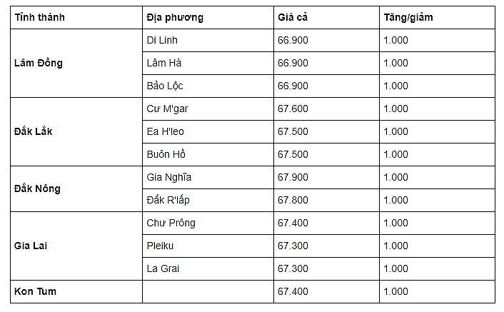 Thị trường cà phê trong nước ngày 16/9/2023