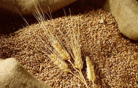 Lúa mì dẫn đầu đà giảm của nhóm nông sản trong phiên hôm qua