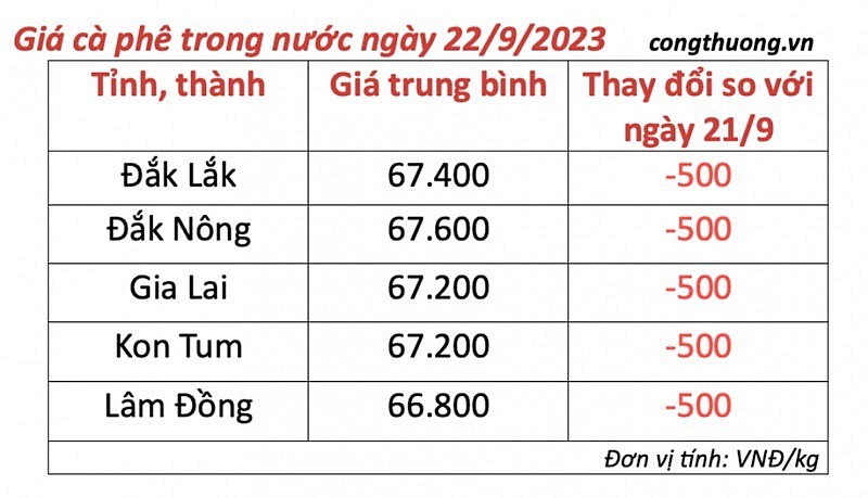 Thị trường cà phê trong nước ngày 22/9/2023