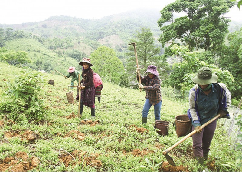 Hộ đồng bào dân tộc thiểu số nghèo được hỗ trợ đất sản xuất (Ảnh: Phạm Oanh)