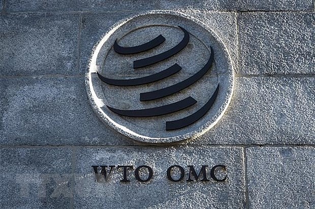 Khủng hoảng tại WTO và cảnh báo về sự phân mảnh của kinh tế toàn cầu