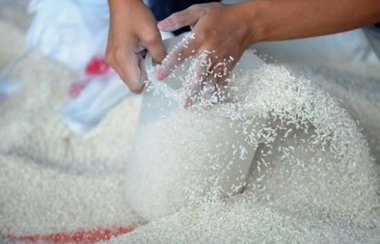 Giá gạo Ấn Độ giảm do tác động từ các mức thuế gần đây