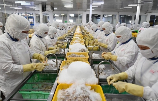 Xuất khẩu tôm, cá tăng tốc đón ‘mùa vàng’ tỷ USD