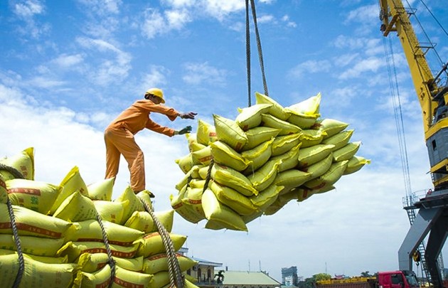 Một quốc gia chi tiền gấp 53 lần mua gạo Việt, thành khách hàng lớn nhất
