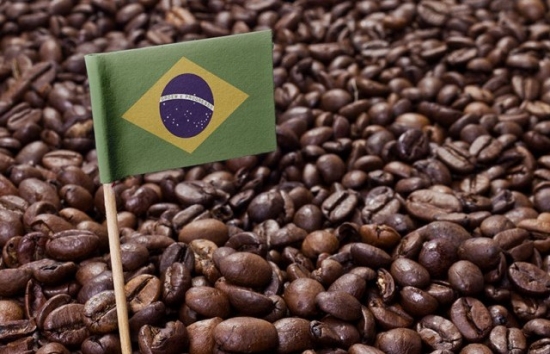 Giá cà phê khởi sắc khi xuất khẩu tháng 9 bất ngờ giảm tại Brazil