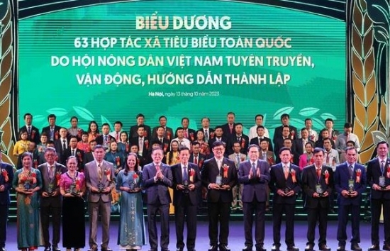 Hợp tác xã Nấm Tam Đảo: Niềm tự hào của người nông dân Việt Nam