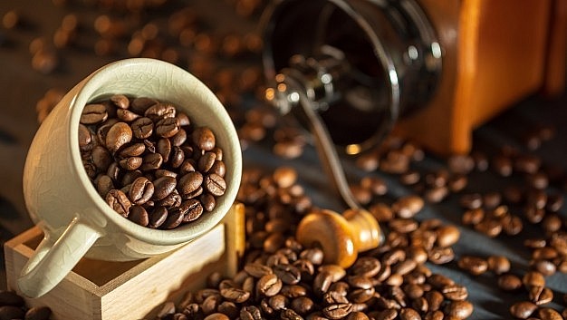 Giá cà phê mới nhất ngày 15/10/2023: Thị trường trong nước cao nhất 63.400 đồng/kg