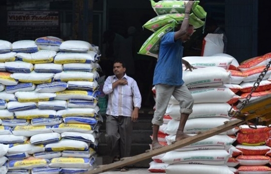 Ấn Độ xem xét lại chính sách giá sàn đối với gạo basmati xuất khẩu