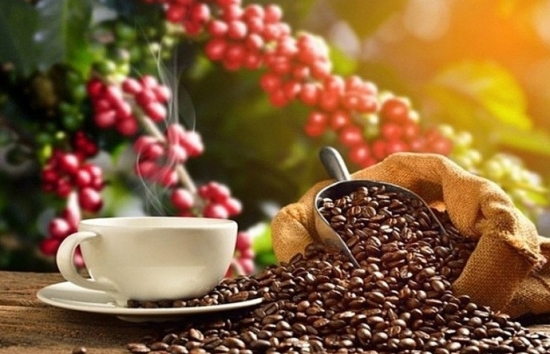 Brazil xuất khẩu 2 triệu bao cà phê trong 2 tuần đầu tháng 10